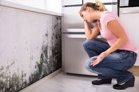 Best Emergency Mold Remediation  in Suncook, NH